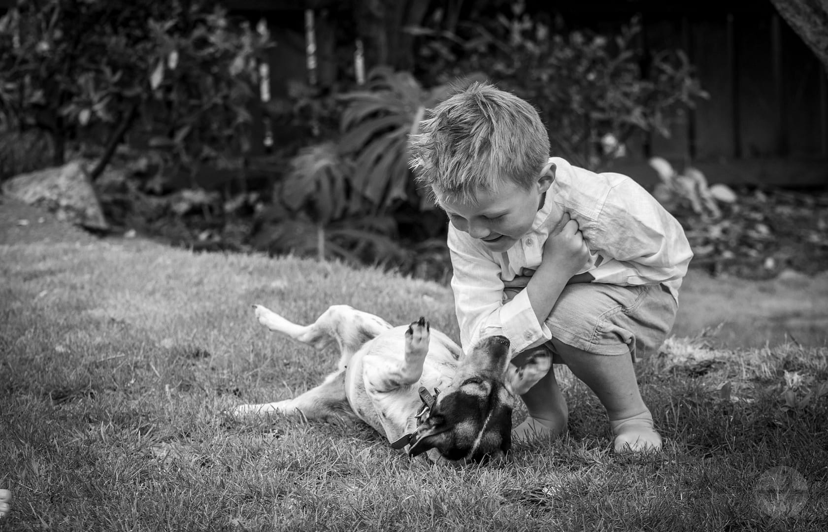 Dog with his dog. Every pet has great stories to share.
