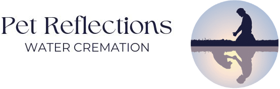 Pet Reflections