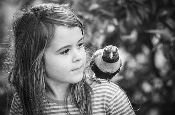 A girl and her pet bird A young girl and her pet bird. Pet cremation Gisborne.